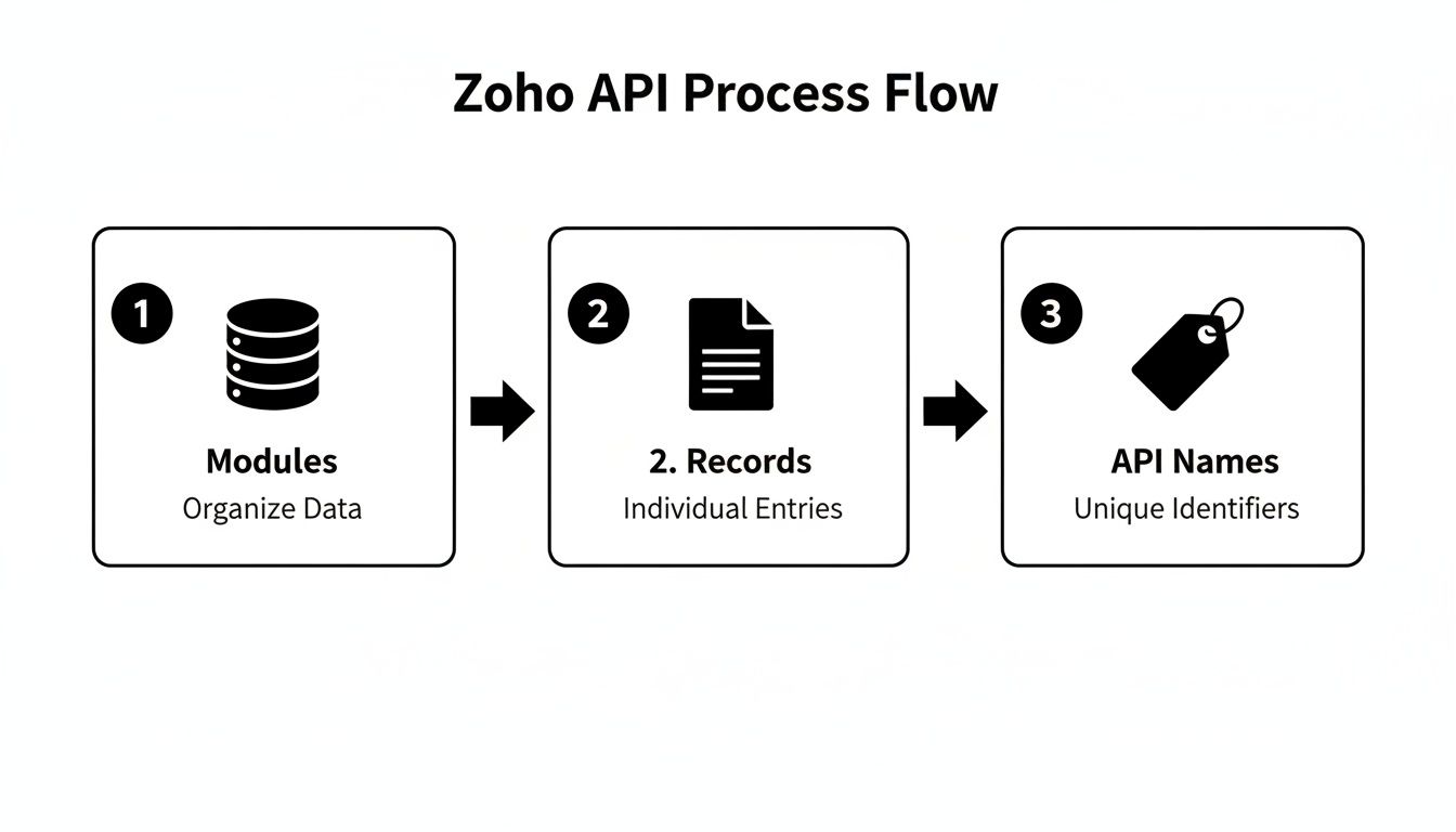 Zoho API process flow diagram, illustrating steps from modules and data organization to records and unique API names.