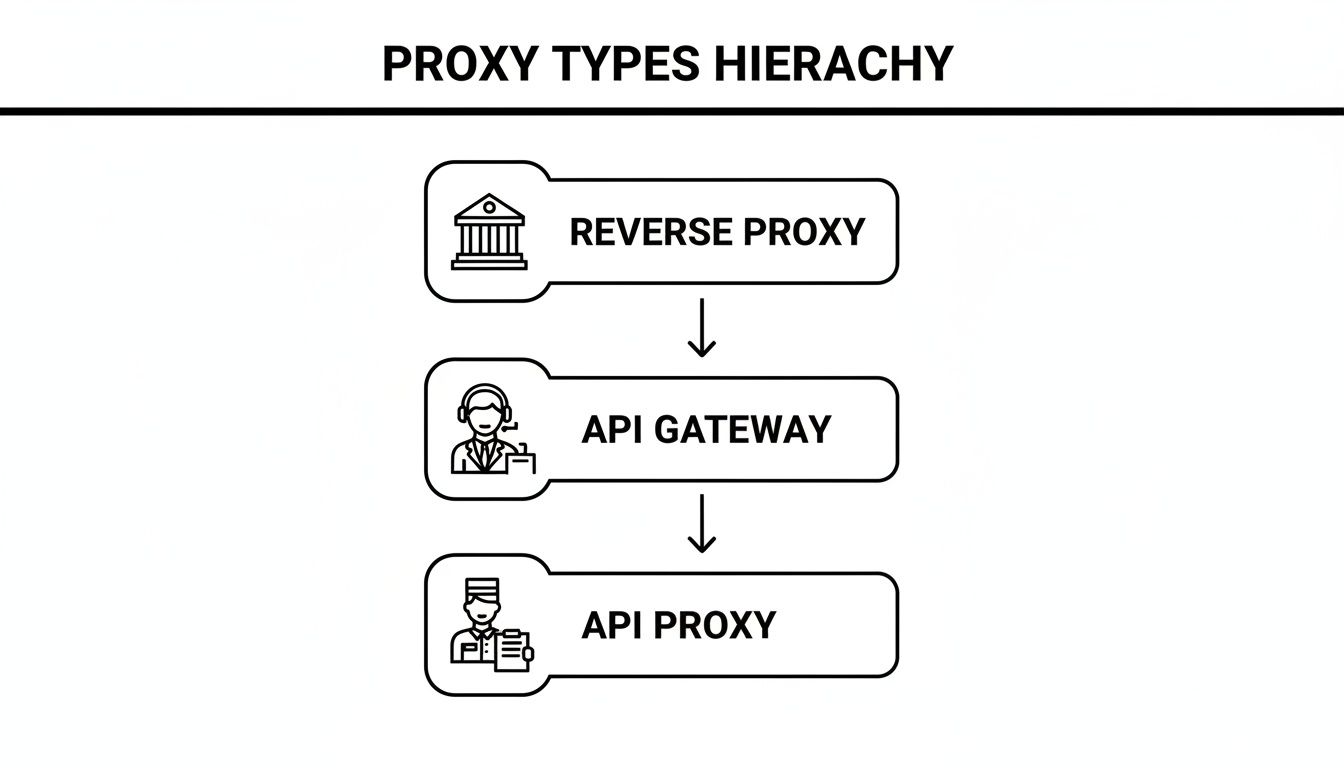A diagram illustrating the hierarchy of proxy types: Reverse Proxy, API Gateway, and API Proxy.
