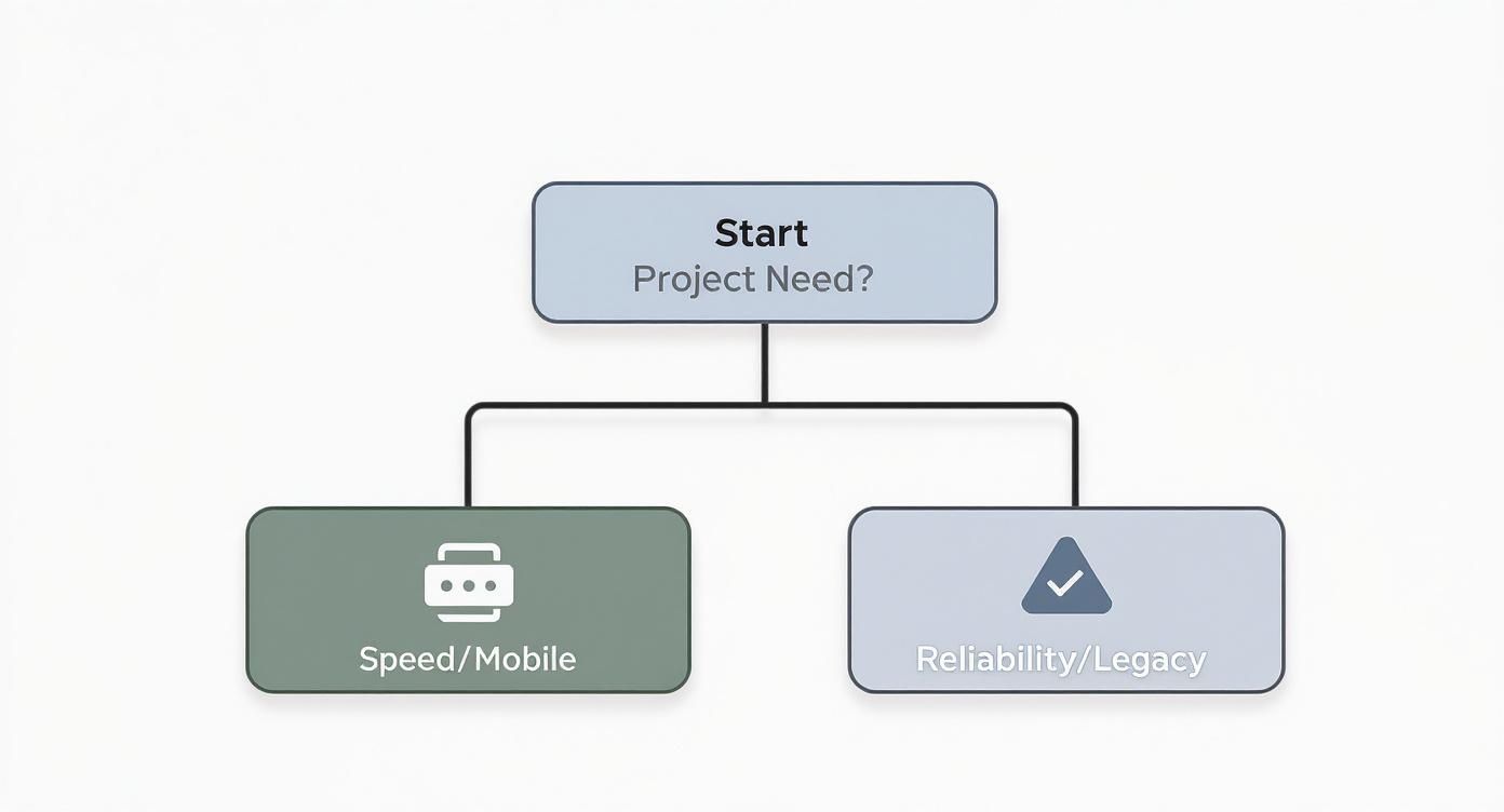 A flowchart showing project needs branching from 'Start Project Need?' into 'Speed/Mobile' and 'Reliability/Legacy'.