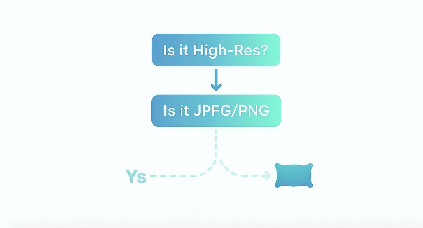 Infographic about print on a pillow