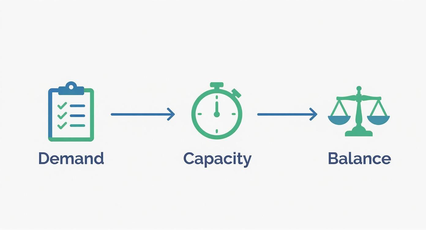 Infographic about capacity planning template excel