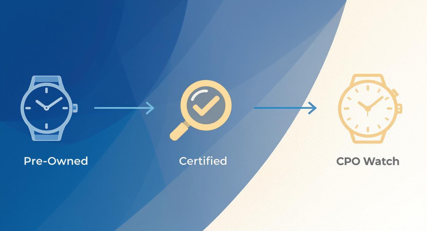 Infographic about certified pre owned watches