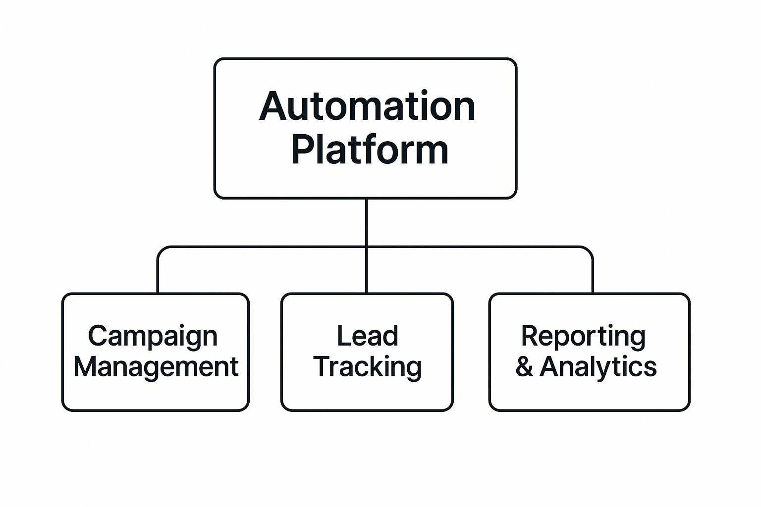 Infographic about franchise marketing automation