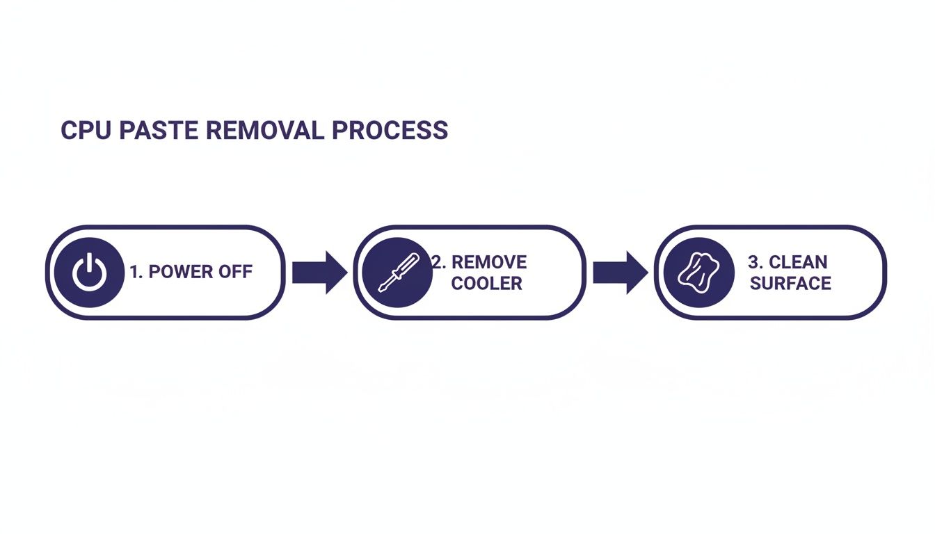 Infographic about how to remove thermal paste from cpu