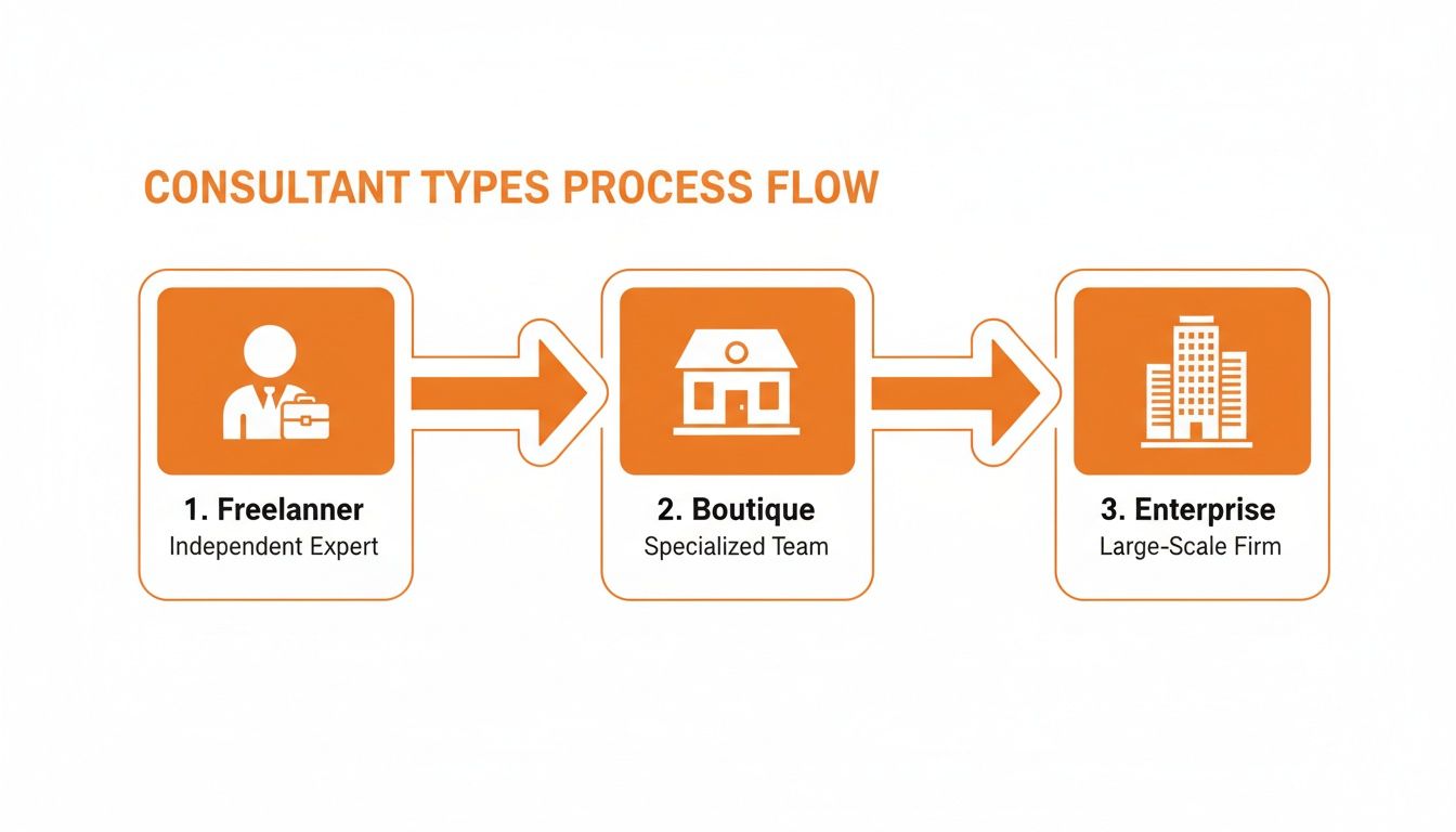A process flow illustrating three consultant types: independent freelancer, specialized boutique, and large-scale enterprise firms.