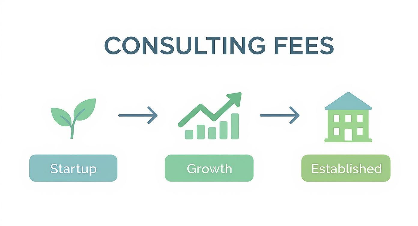 Diagram illustrating consulting fee stages: Startup, Growth, and Established businesses, with corresponding icons.
