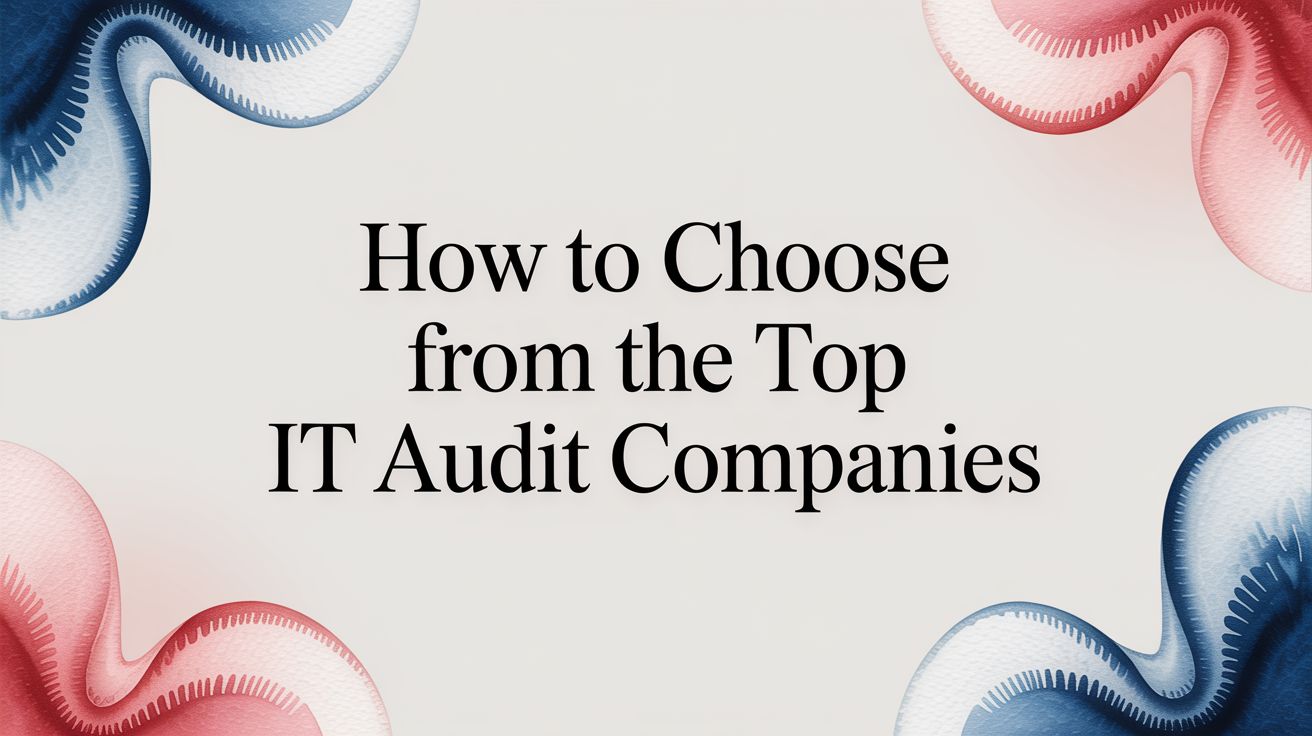 How to Choose From the Top IT Audit Companies