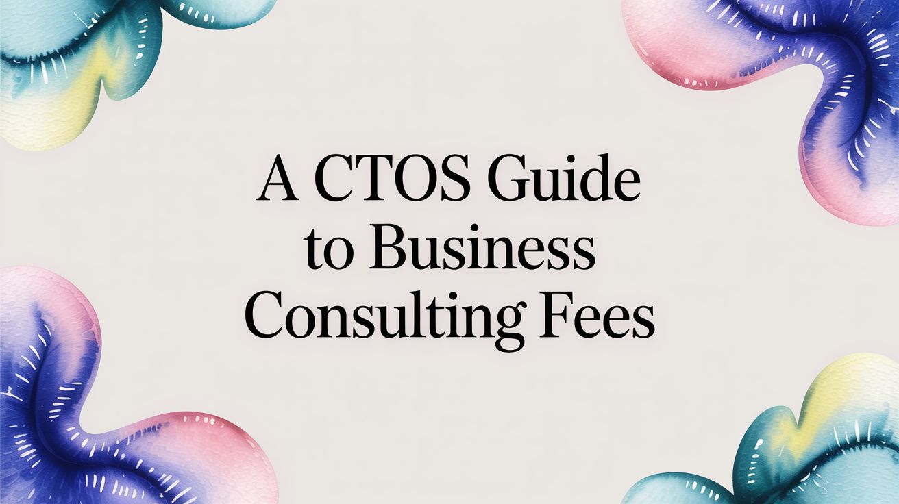 A CTOs Guide to Business Consulting Fees