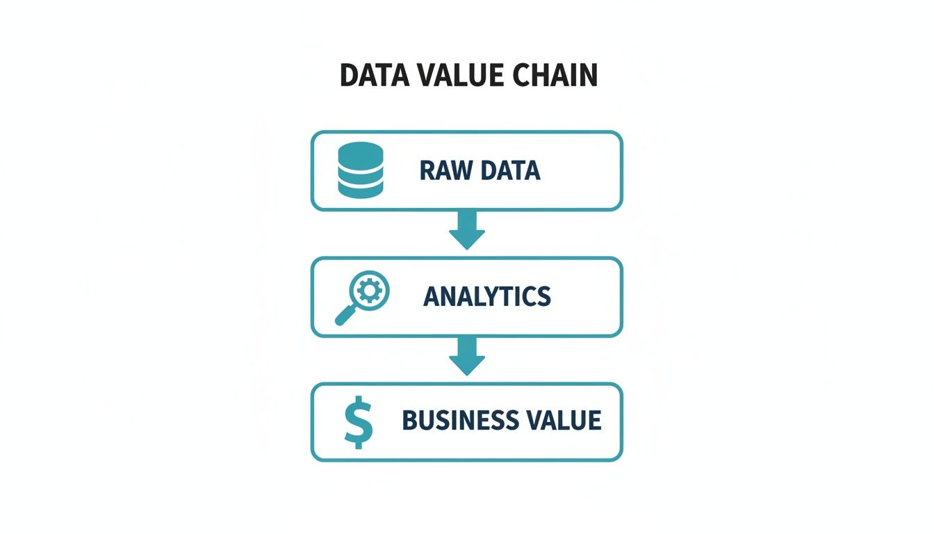 A data value chain diagram showing raw data flowing into analytics, which then generates business value.