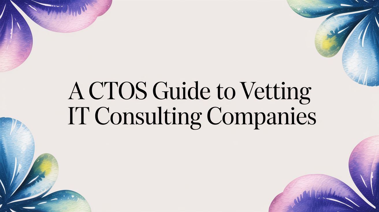 A CTOs Guide to Vetting IT Consulting Companies
