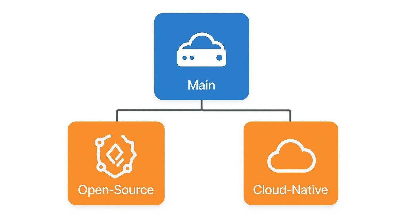 Diagram showing 'Main' platform branching into 'Open-Source' and 'Cloud-Native' components.