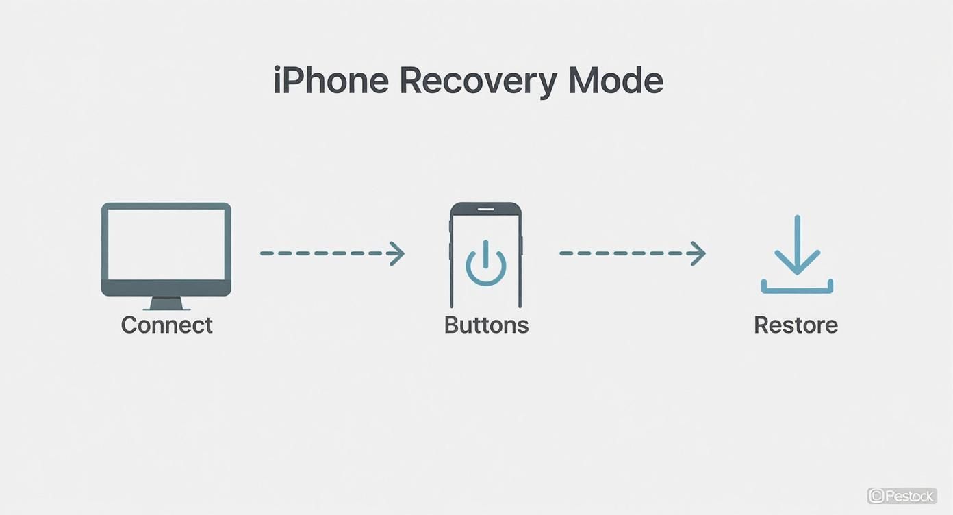 Infographic about how to unlock disabled iphone