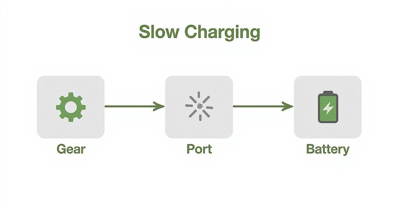 Infographic about why is my phone charging slowly