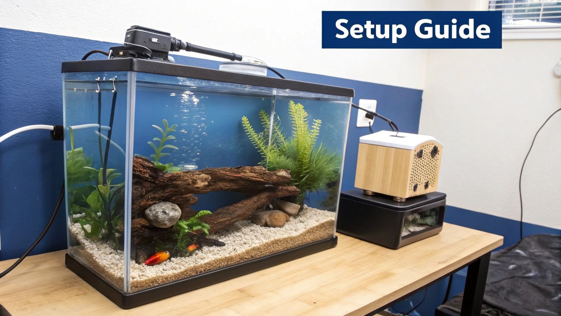 15-gallon tank setup