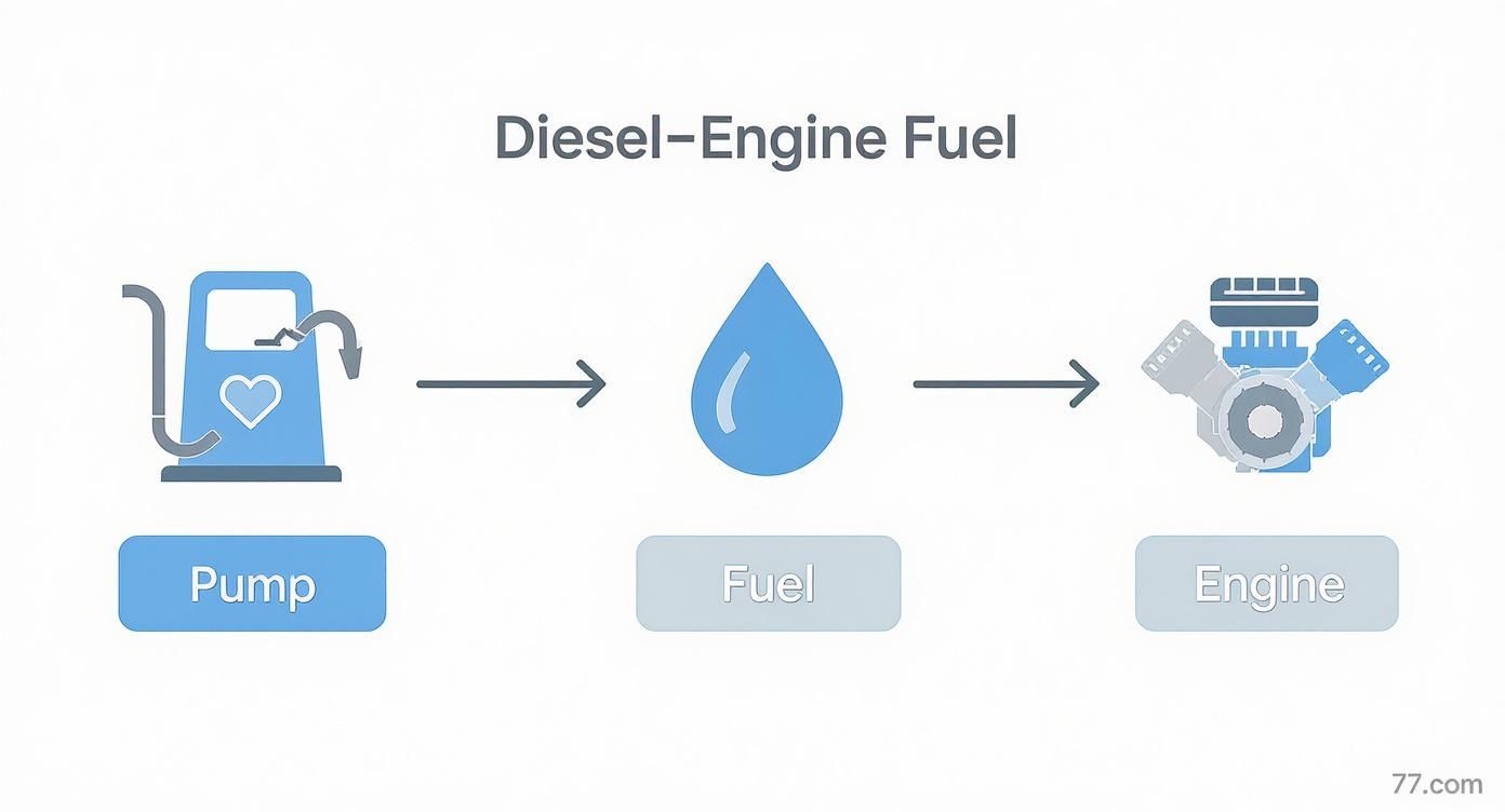 Infographic about fuel pump for diesel