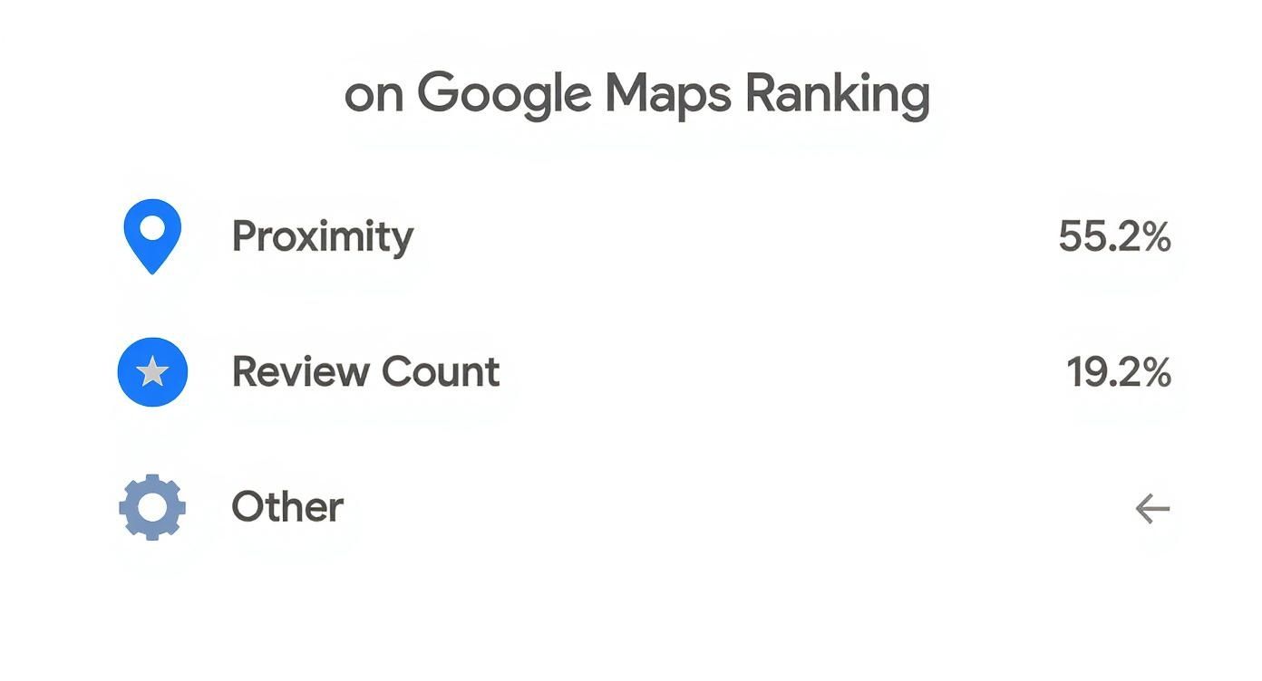 A list outlining key factors for Google Maps ranking: Proximity (55.2%) and Review Count (19.2%).