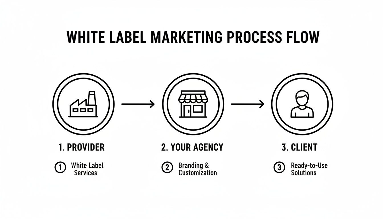 Flowchart showing white label marketing process: provider offers services, agency brands, and client receives solutions.