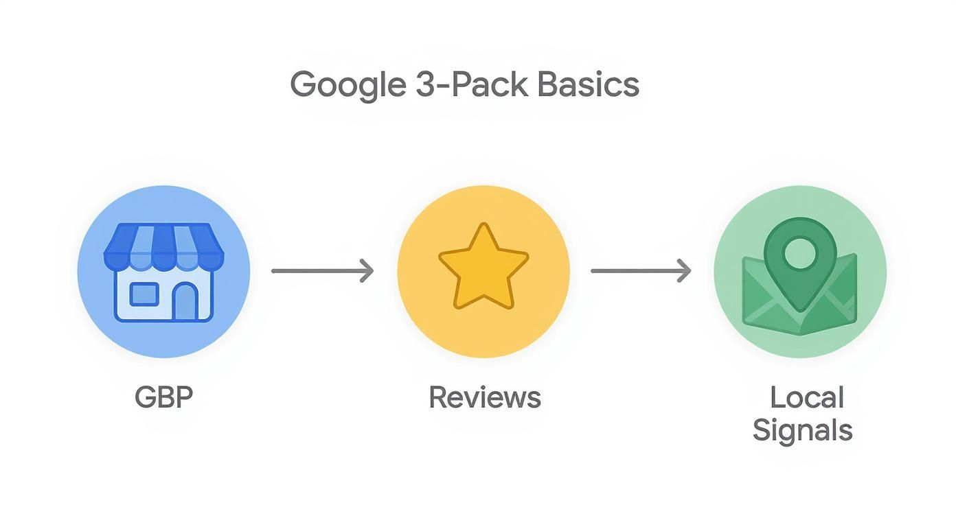 Flowchart showing Google 3-Pack ranking factors: Google Business Profile, reviews, and local signals.