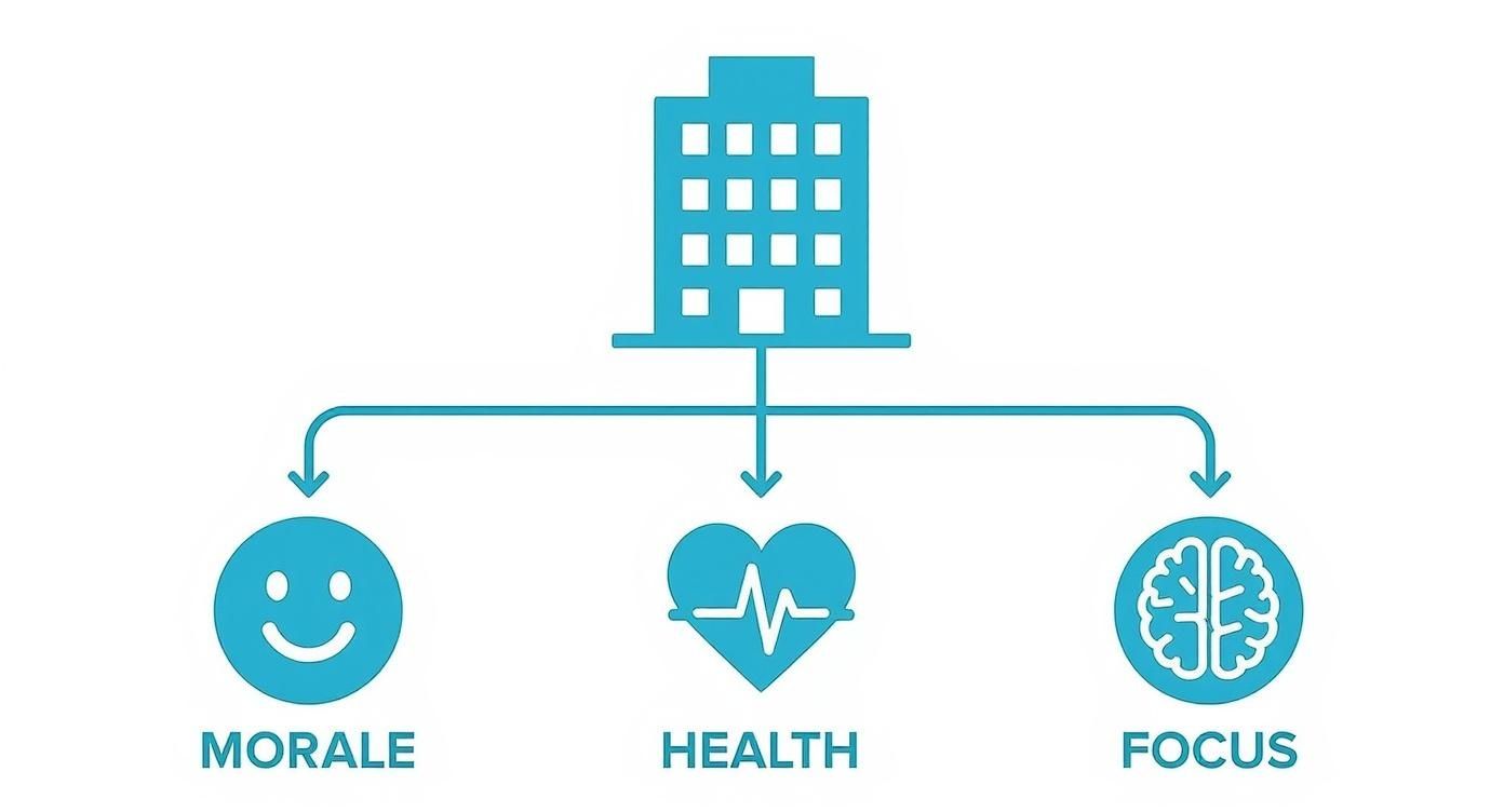 Infographic about filtered water cooler for office