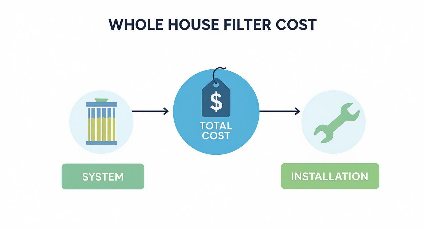 Infographic about whole house water filtration system cost