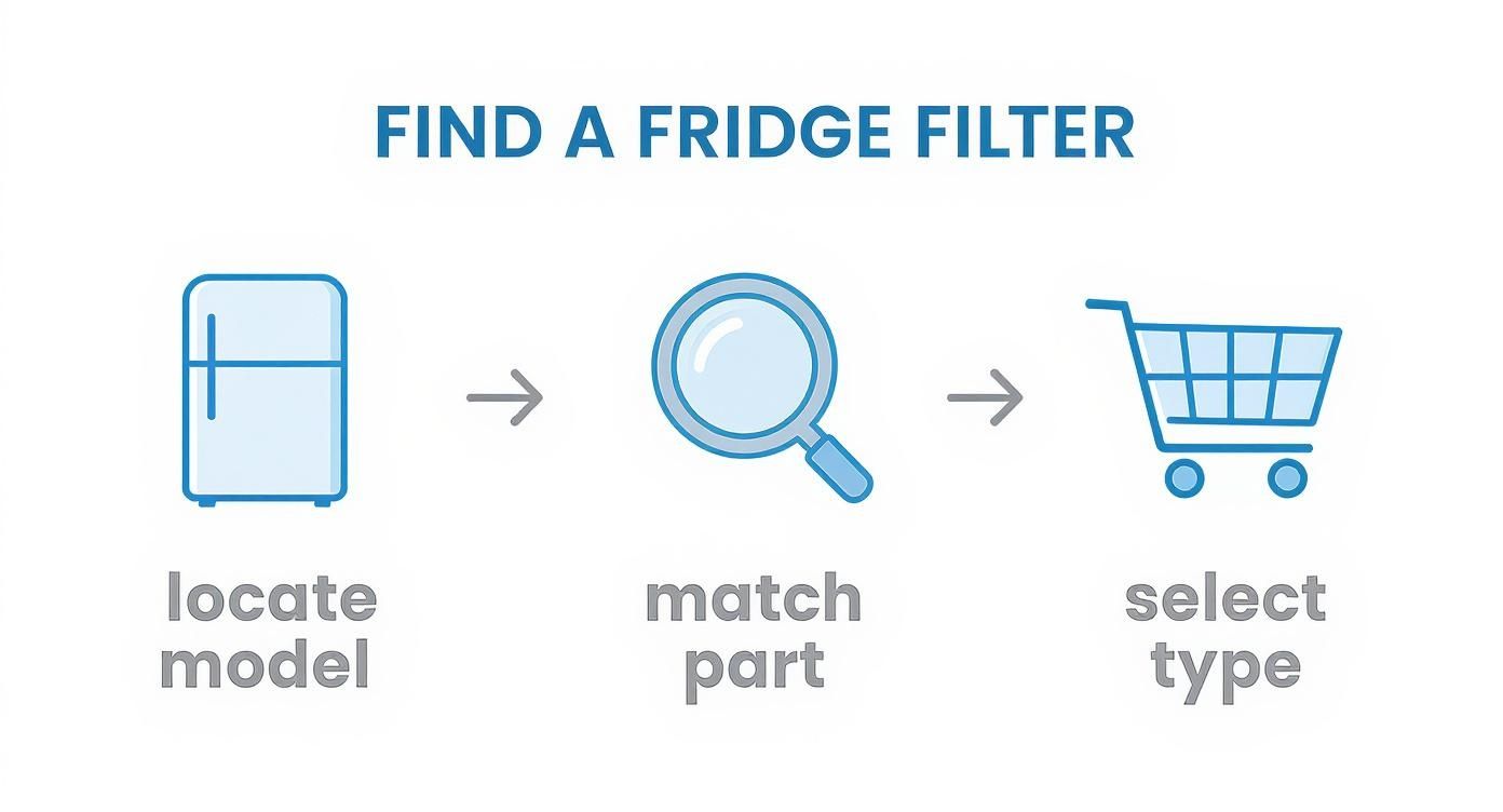 Infographic showing the three-step process to find a fridge filter: Locate Model, Match Part, and Select Type.