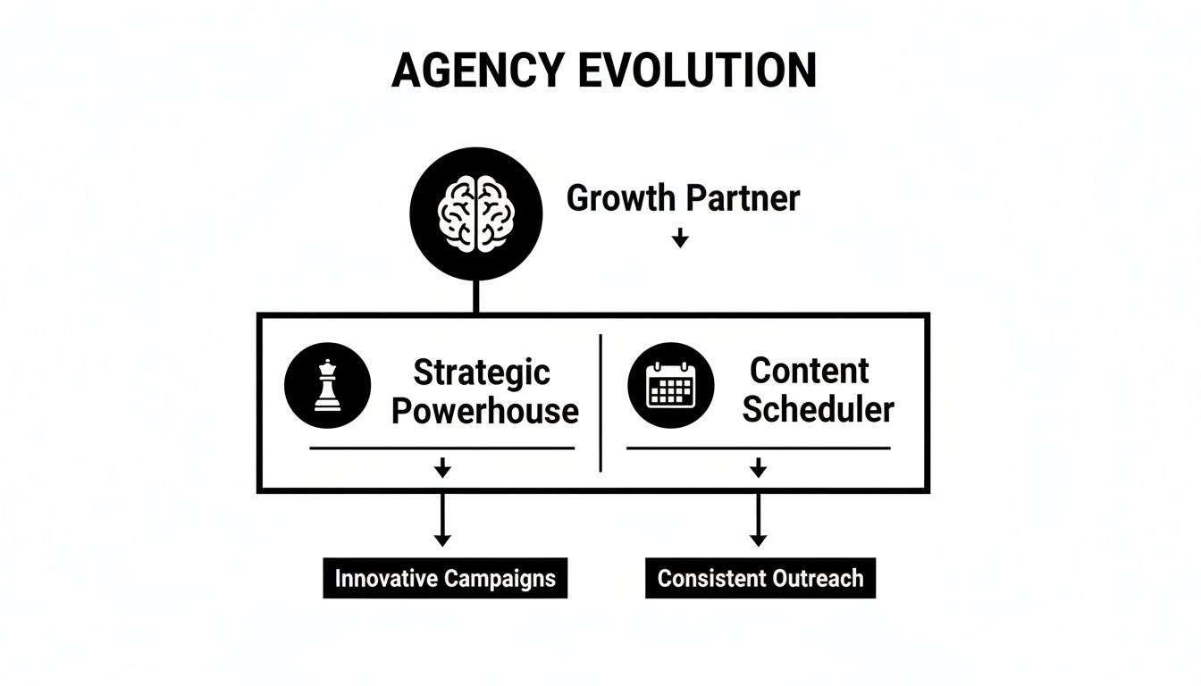 Visualizing agency evolution: from growth partner to strategic powerhouse for innovative campaigns and content scheduler for consistent outreach.