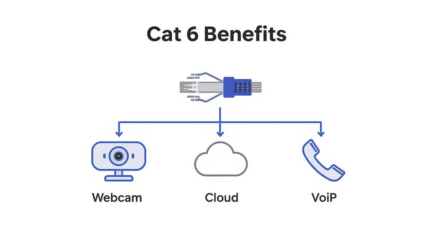 Infographic about cat 6 cable