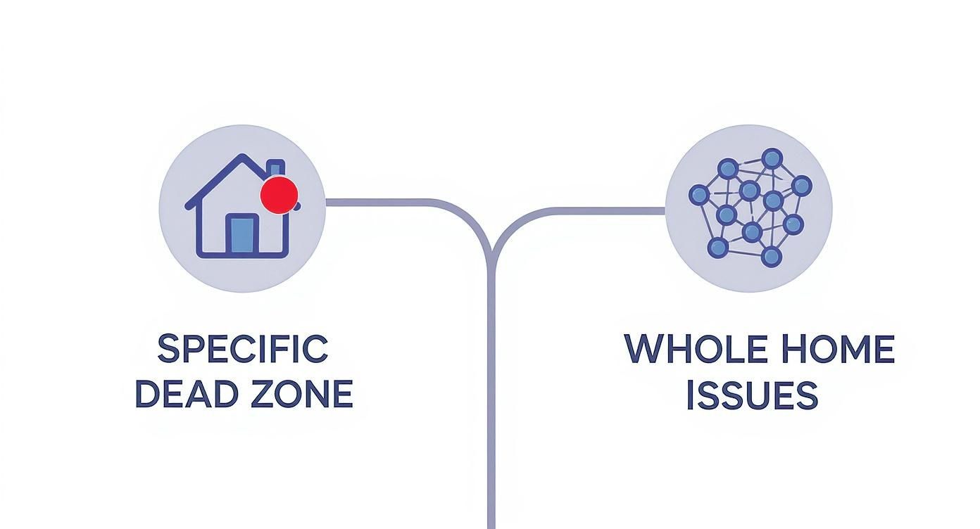 Infographic decision tree showing that a WiFi range extender is ideal for a specific dead zone, while a mesh network is better for whole-home issues.