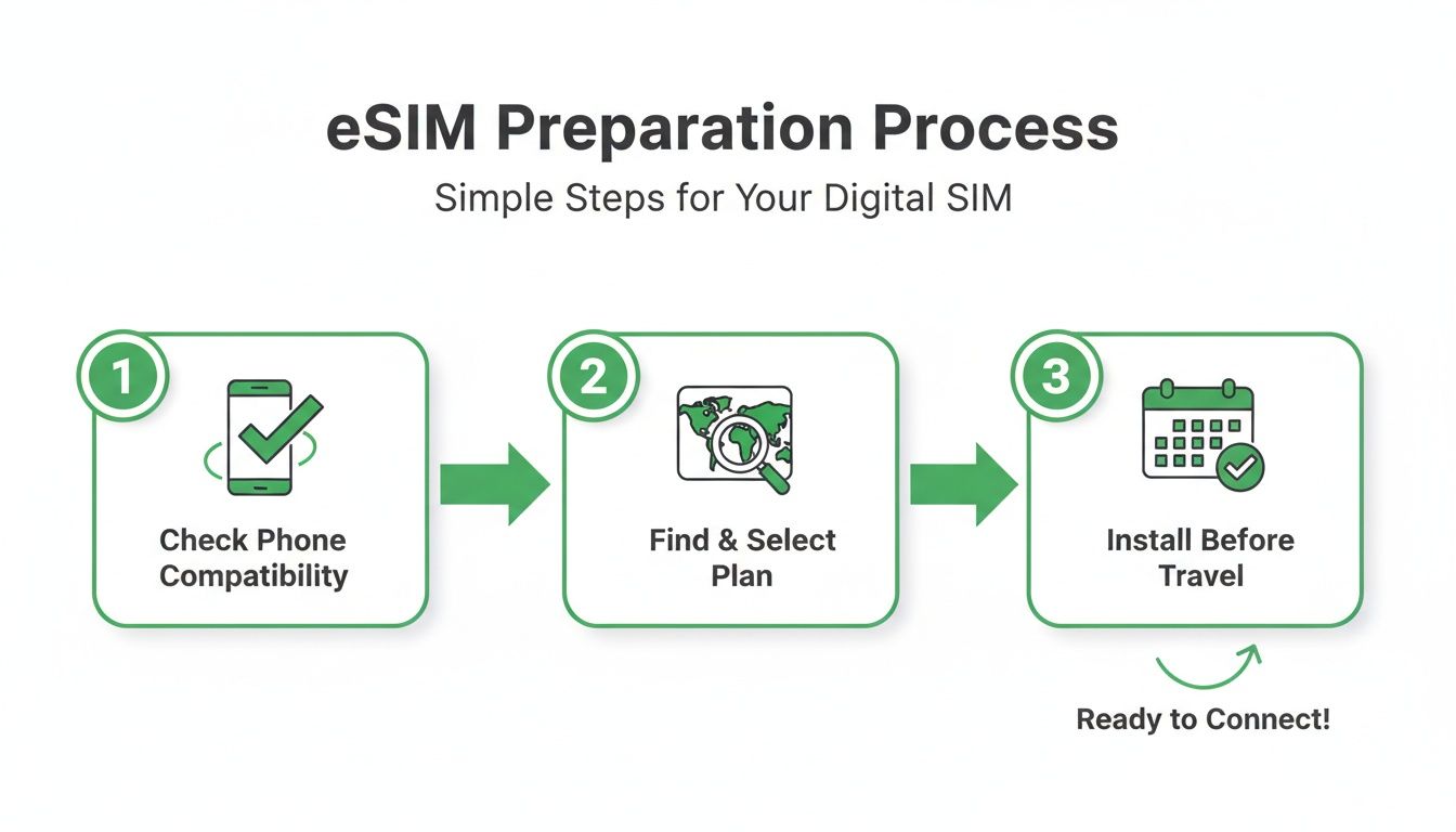 Infographic displaying three simple steps for the eSIM preparation process for travel.
