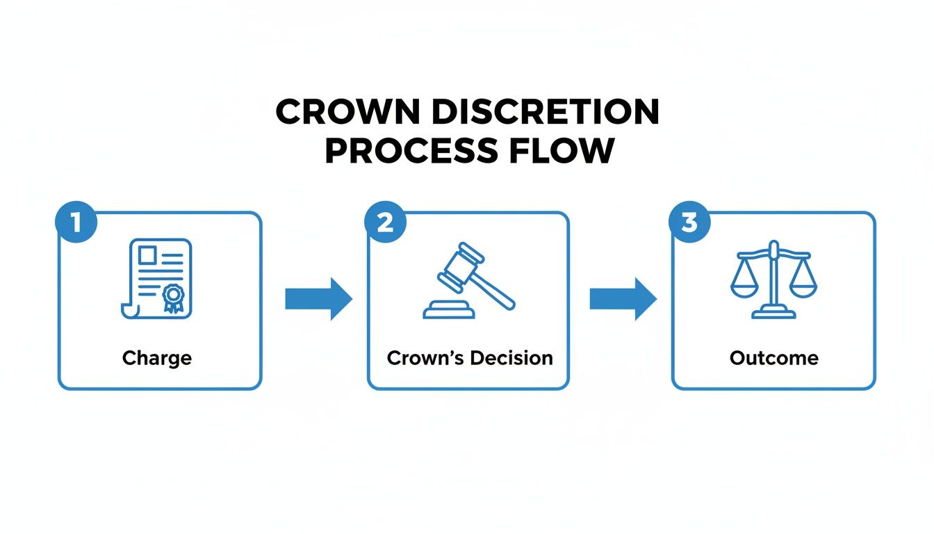 Flowchart illustrating the Crown Discretion Process, from charge to decision and outcome.