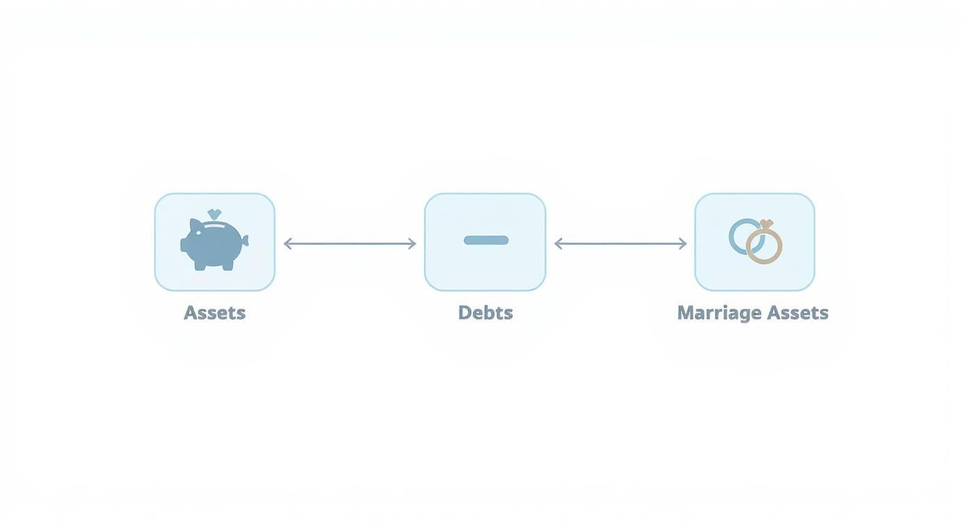 Diagram showing the financial relationship between personal Assets, Debts, and shared Marriage Assets.