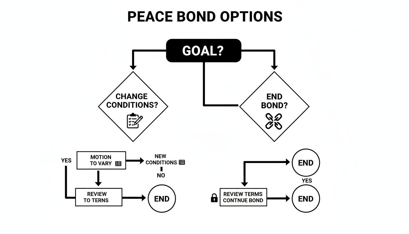 Flowchart outlining peace bond options: changing conditions, reviewing terms, or ending the bond.