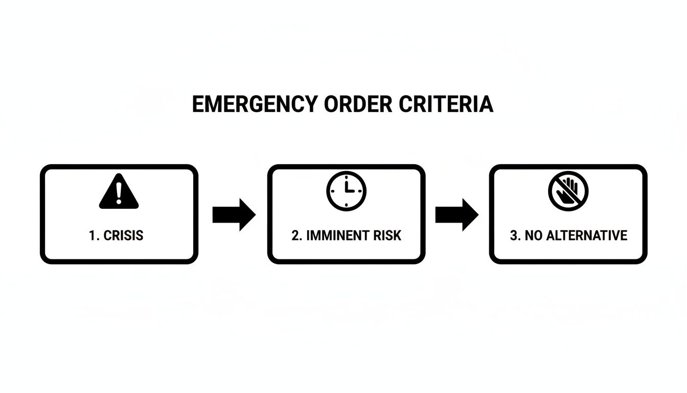 A flowchart illustrating the three criteria for an emergency order: Crisis, Imminent Risk, and No Alternative.