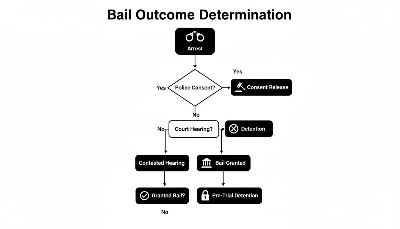 Flowchart illustrating the bail outcome determination process from arrest to pre-trial detention.