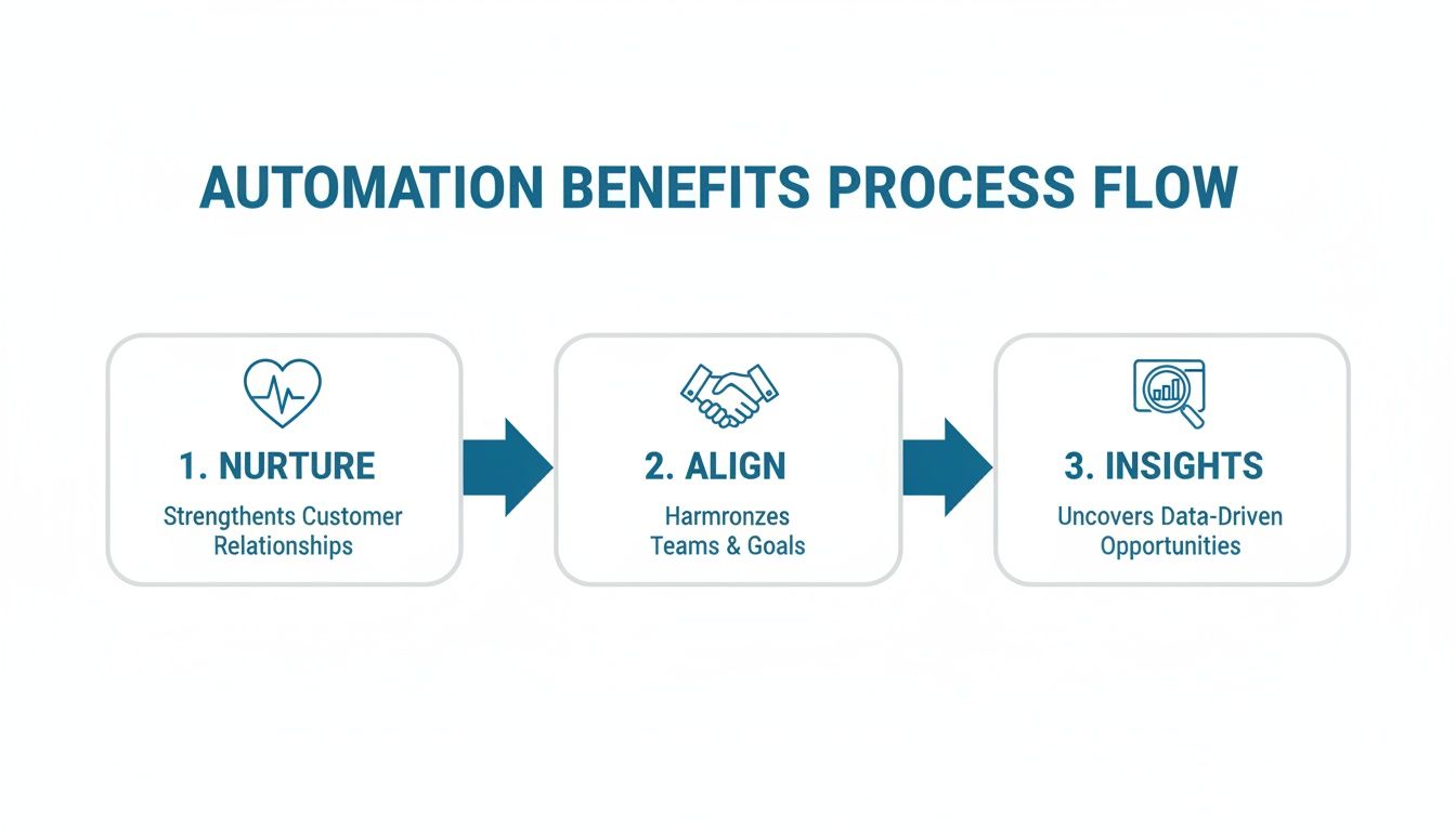 Automation benefits process flow showing three steps: Nurture, Align, and Insights for business improvement.