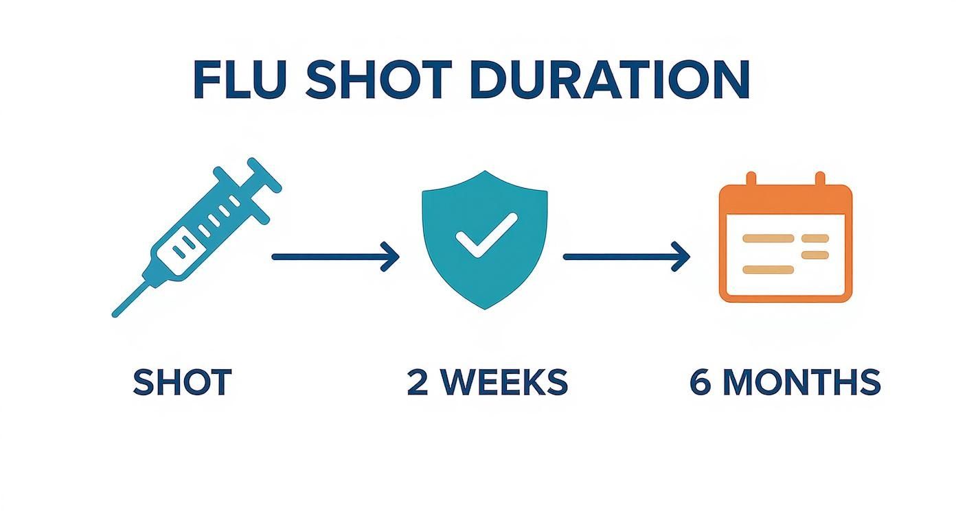How Long Does Flu Shot Last What To Know About Annual Immunization how-long-does-flu-shot-last-what-to-know-about-annual-immunization