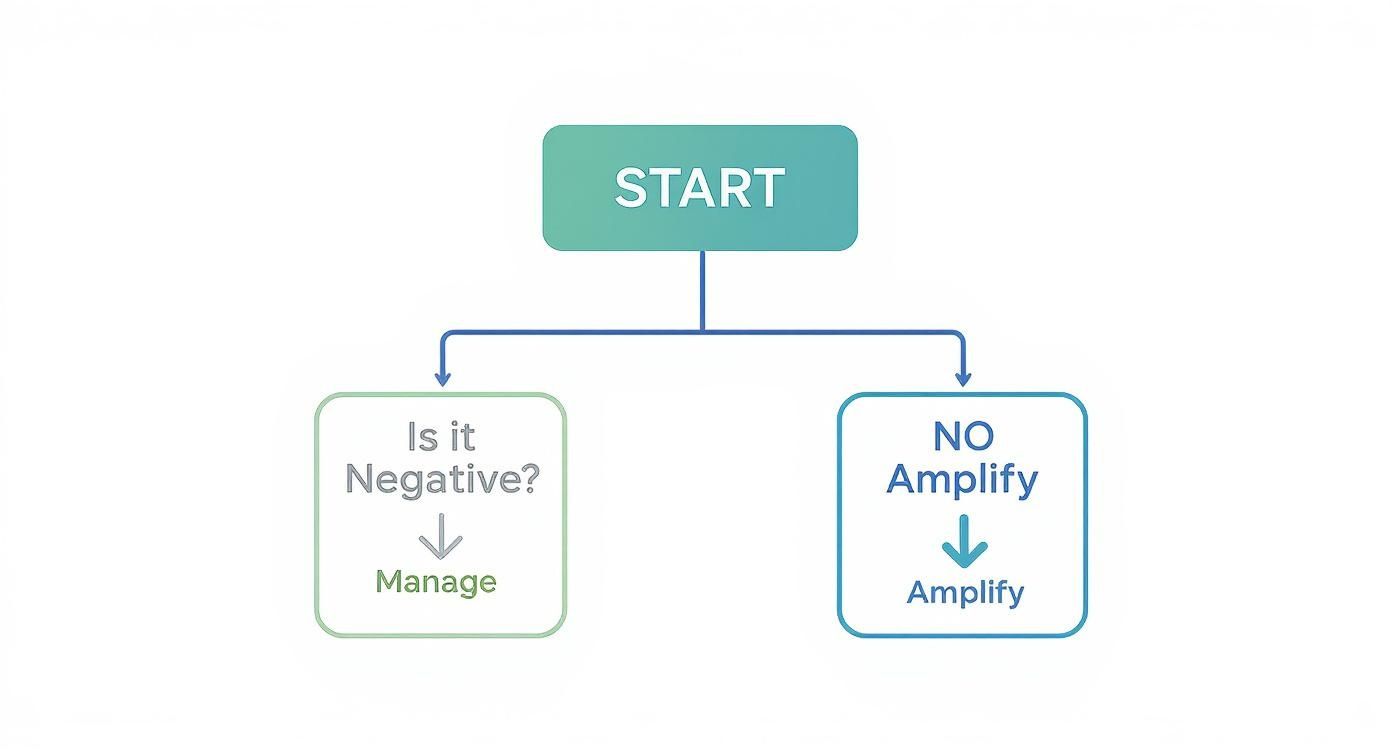 Flowchart showing decision process for managing negative feedback versus amplifying positive online reputation