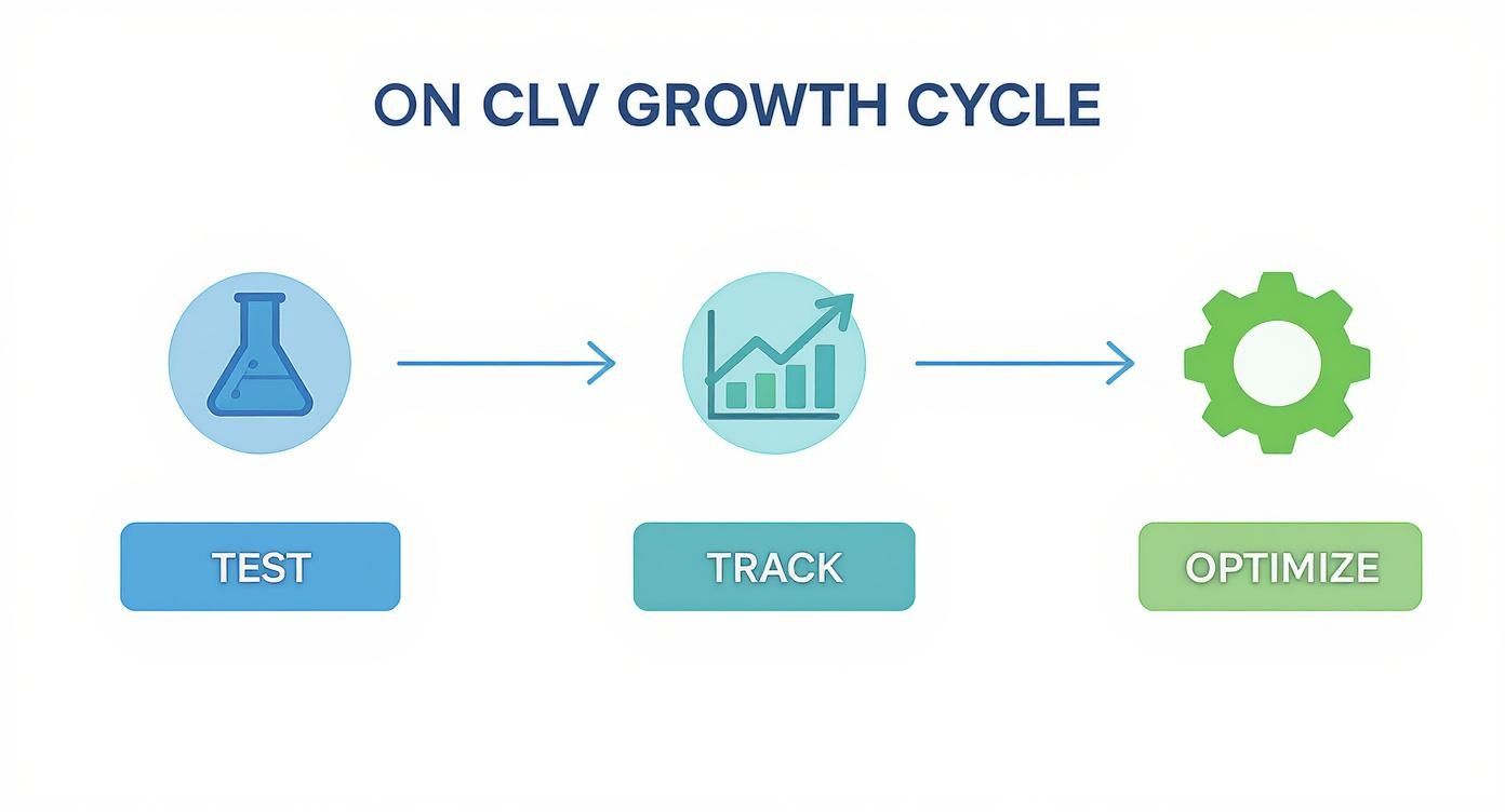 A diagram illustrating the CLV Growth Cycle with three steps: Test (beaker), Track (chart), and Optimize (gear).