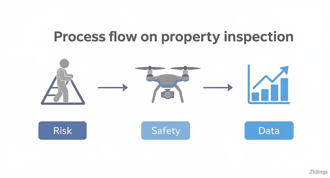 Infographic about drone building survey