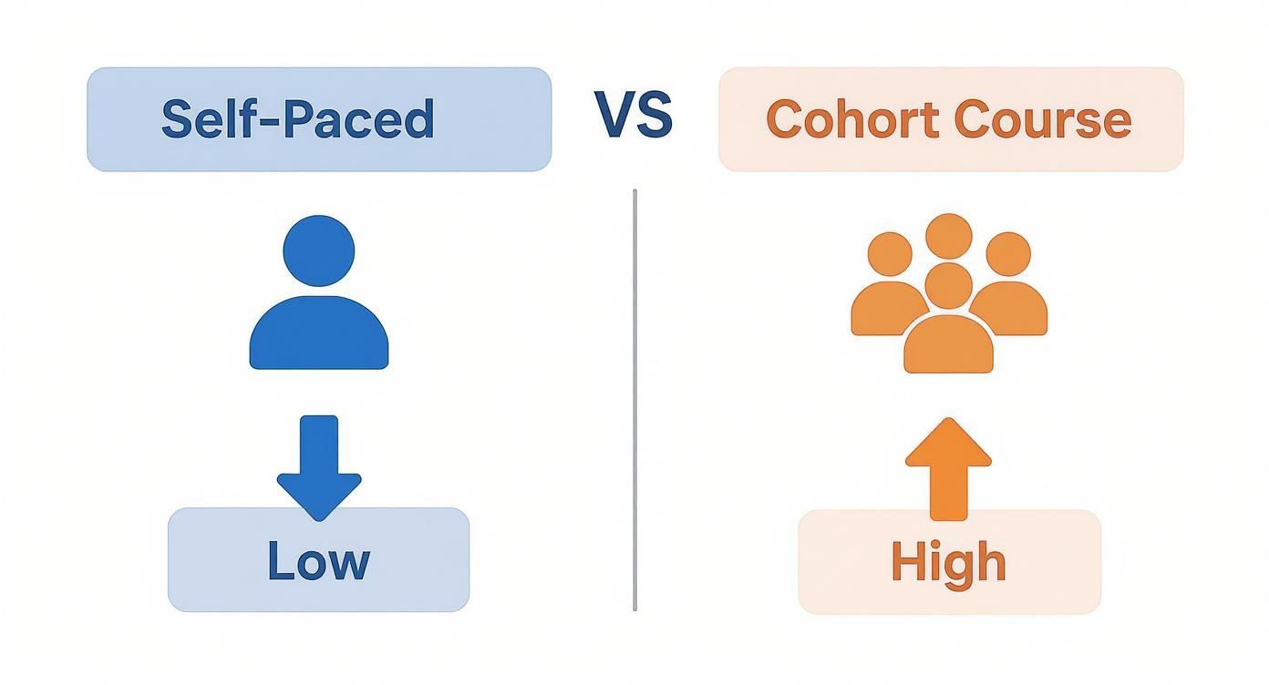 Visual comparison of self-paced learning with low interaction versus cohort courses with high interaction.