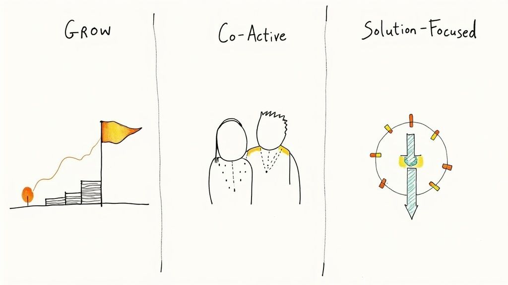 Hand-drawn diagrams illustrating GROW, Co-Active, and Solution-Focused coaching models for business development.