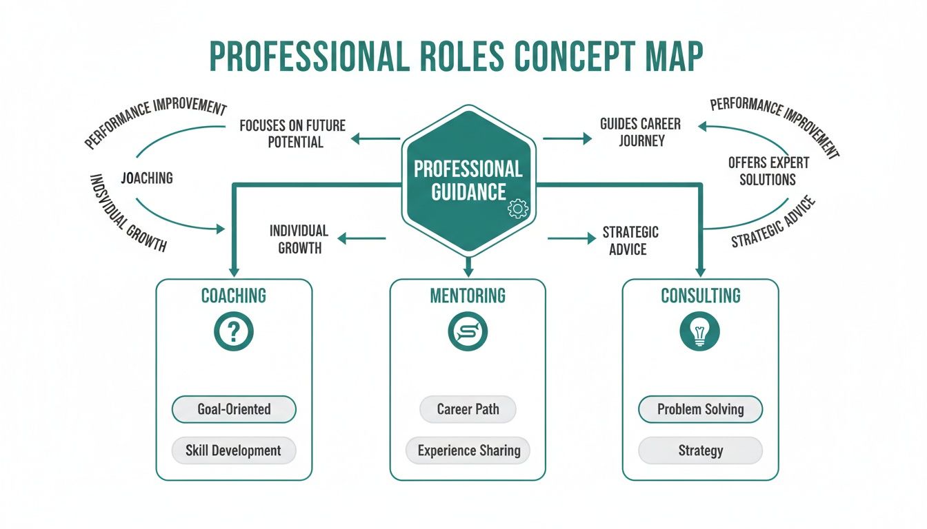 A professional roles concept map illustrating the differences between coaching, mentoring, and consulting.
