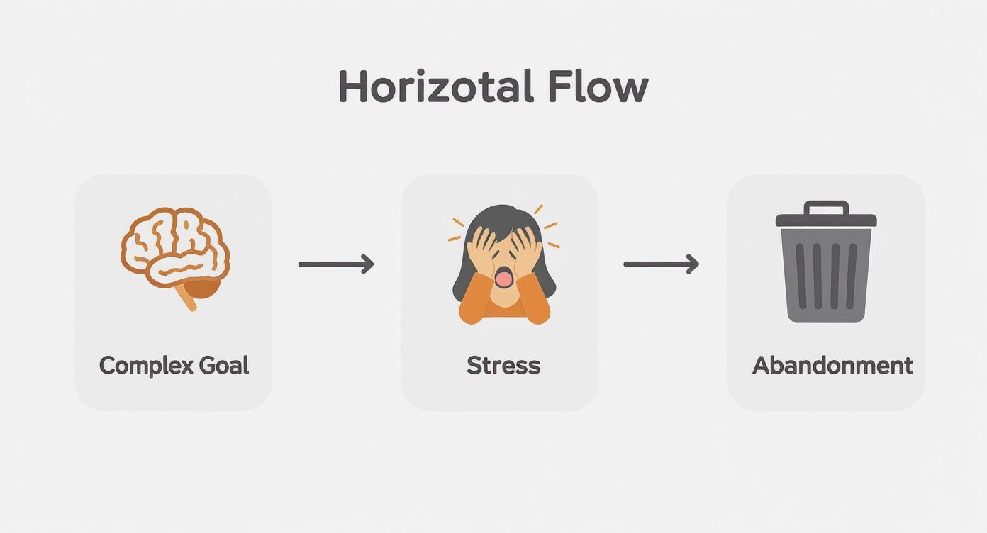Infographic about habits tracker notion