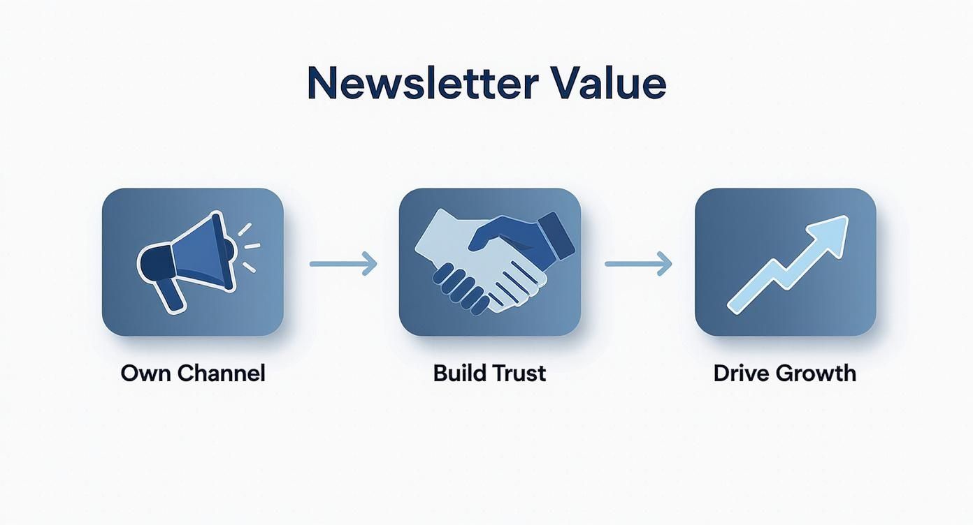 Infographic about digital marketer newsletter