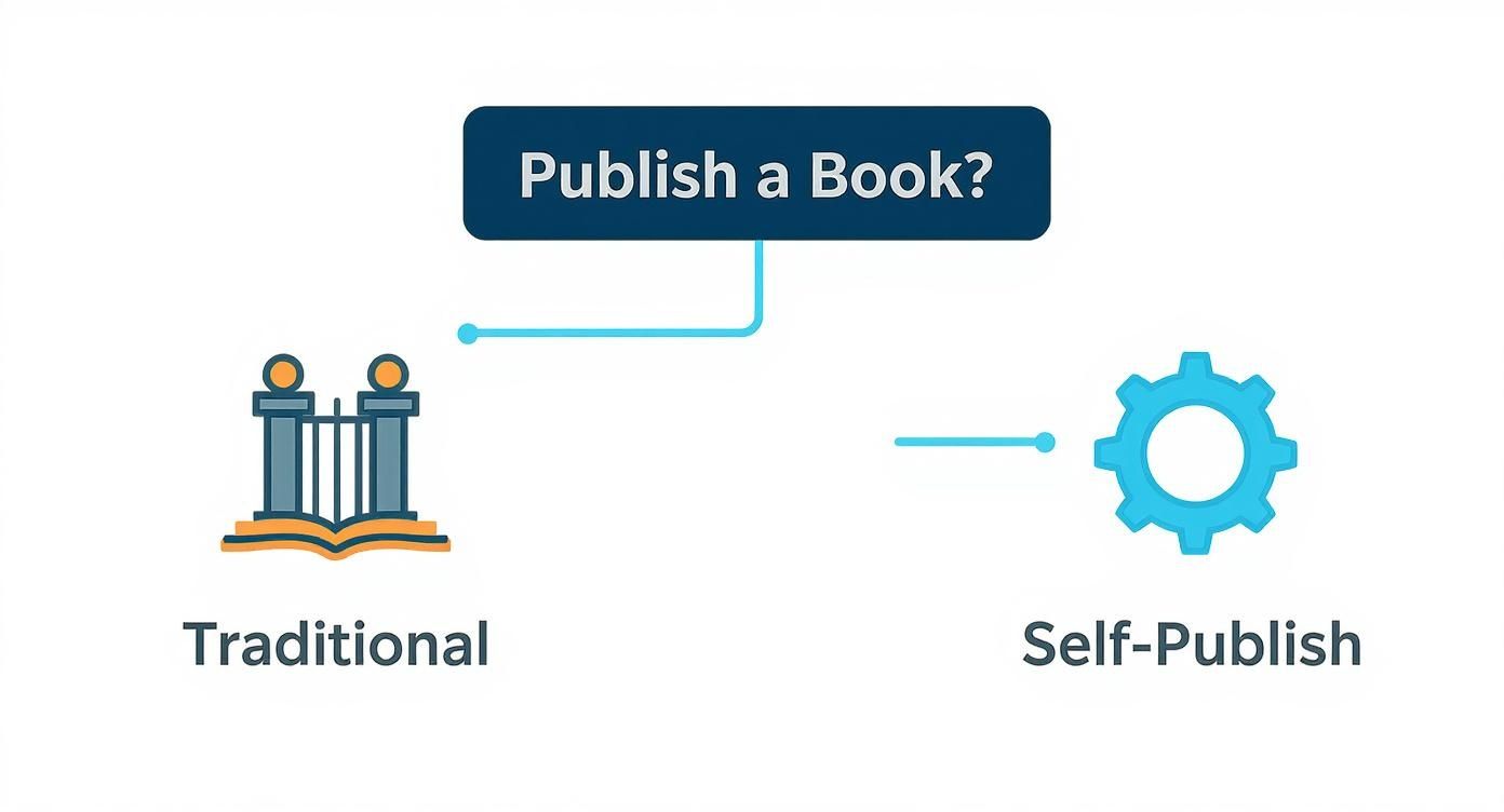 Infographic about how hard is it to publish a book