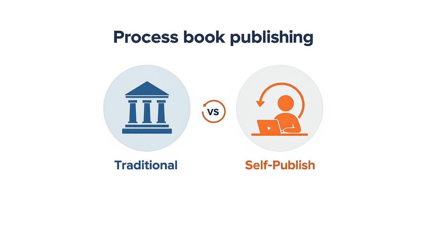 Infographic about get a book published