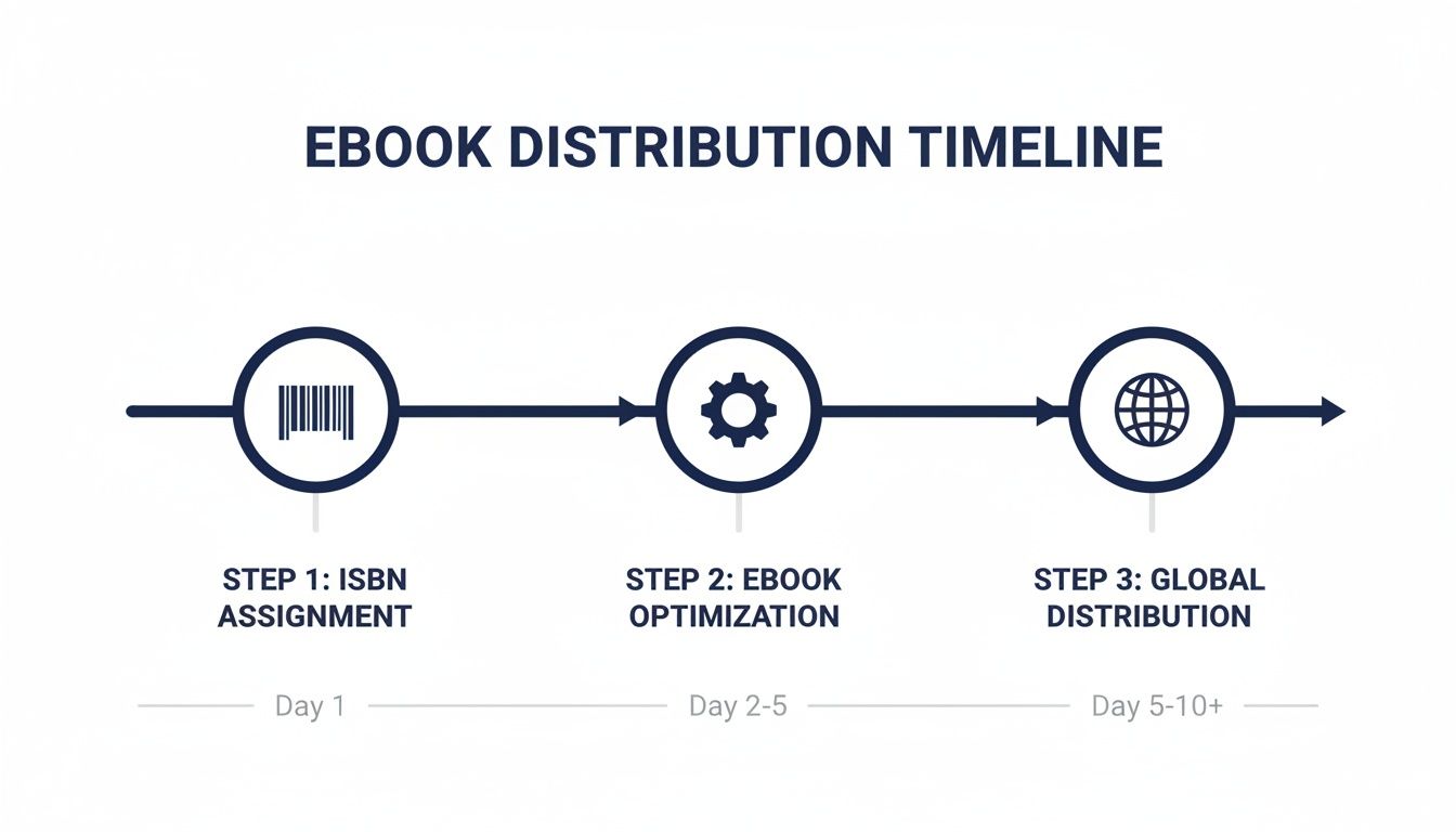 Timeline illustrating the three steps of ebook distribution: ISBN assignment, optimization, and global distribution.