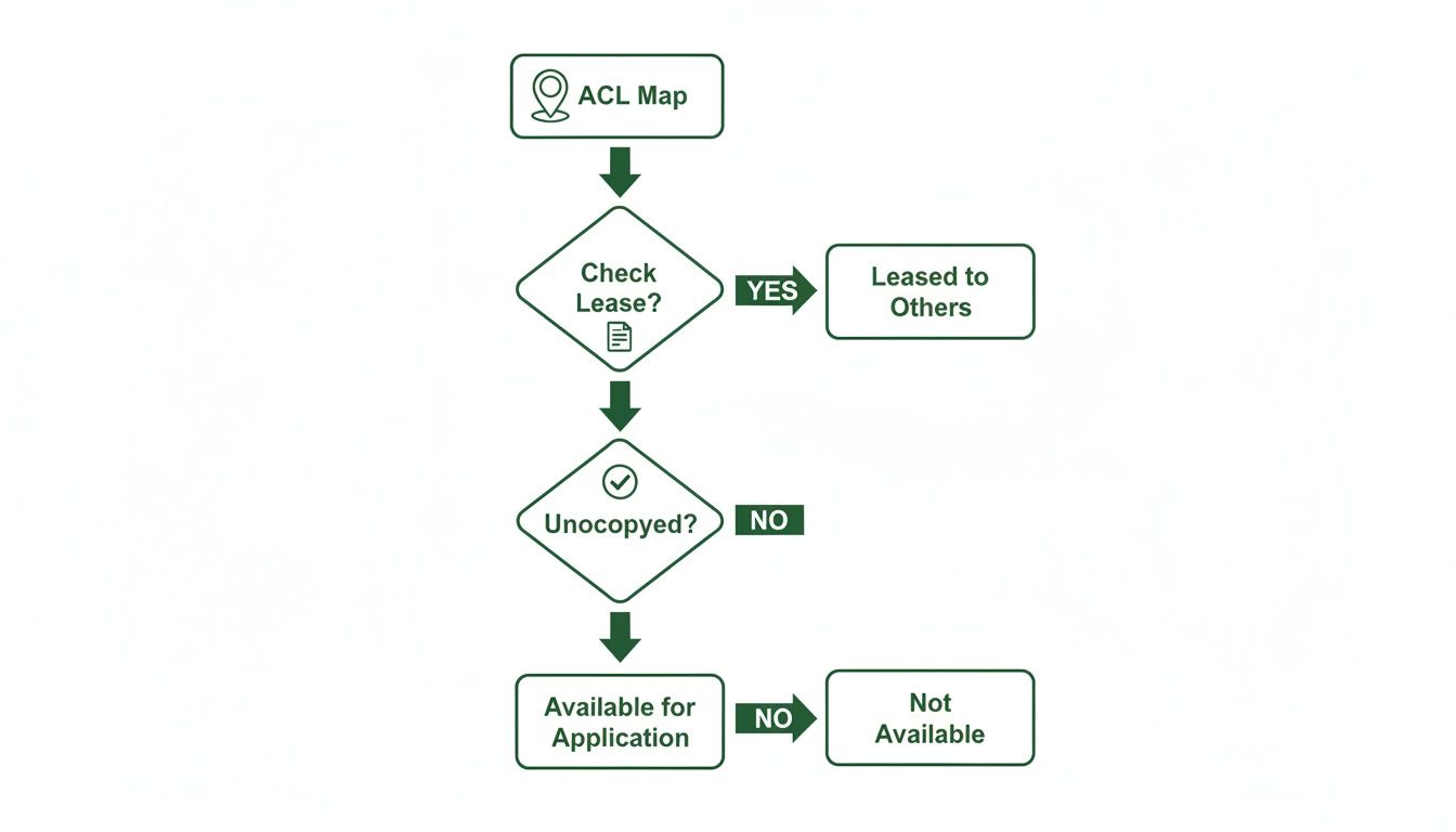 Flowchart illustrating the process to determine land availability based on lease and occupancy status.