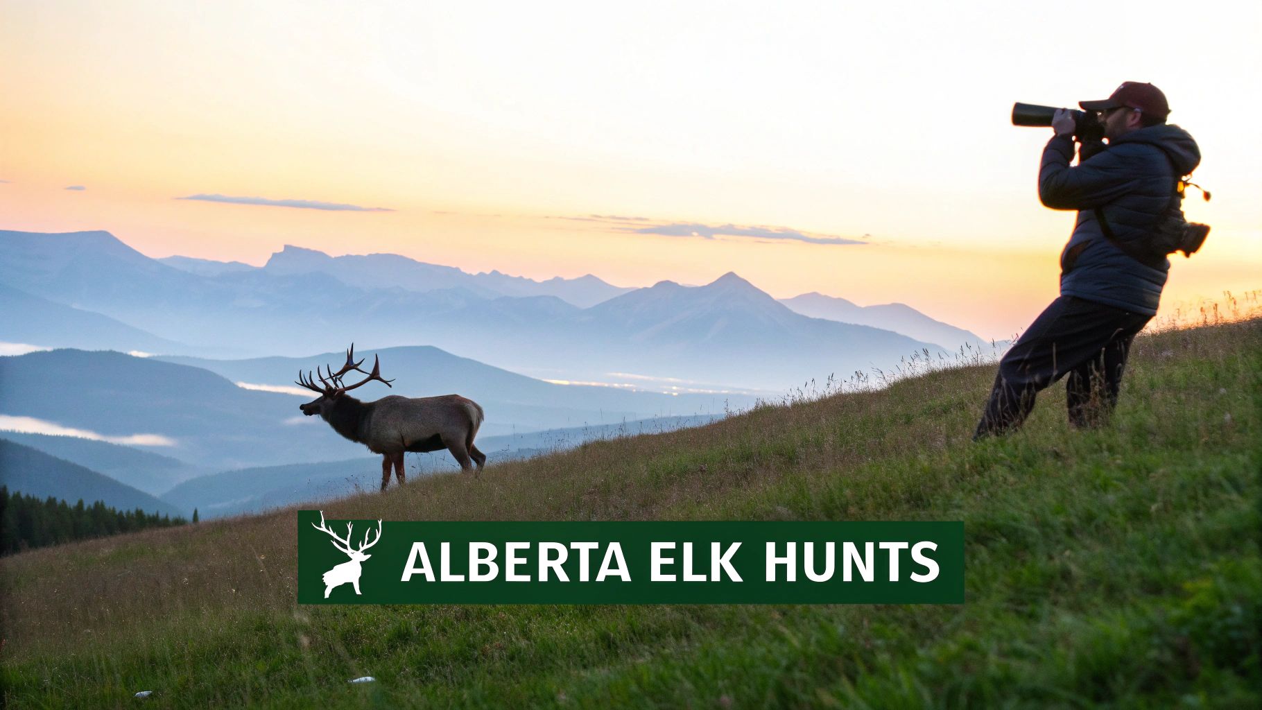 Photographer captures a magnificent elk with large antlers on a grassy hill at sunset, mountains in background.