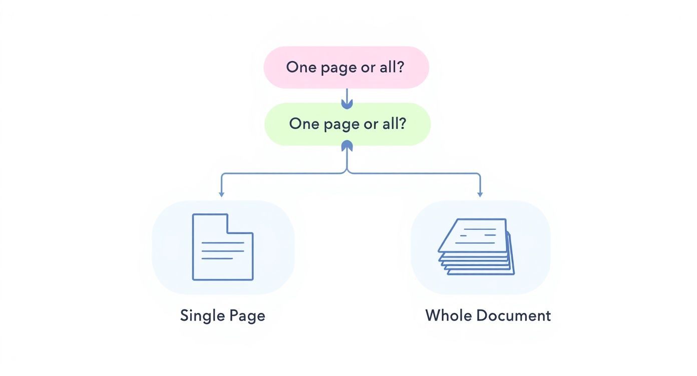 Infographic about how to rotate pdf pages